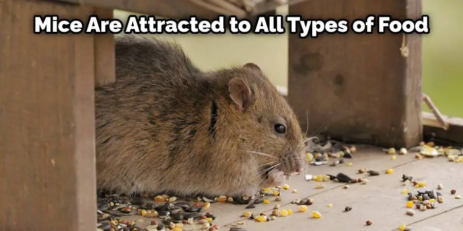 Mice are attracted to all types of food