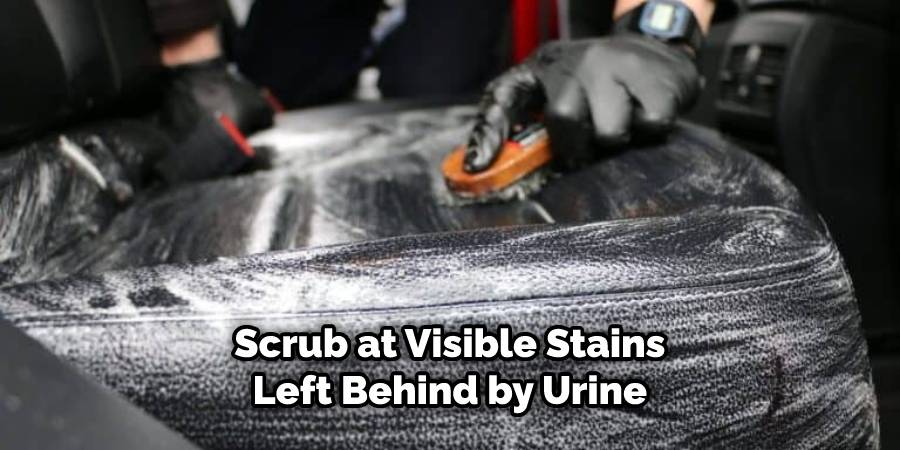Scrub at any visible stains left behind by urine