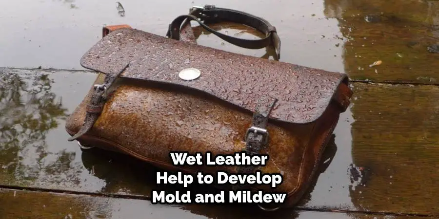 Wet leather help to develop mold and mildew