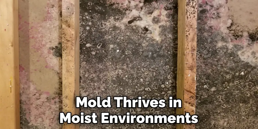 Mold Thrives in
Moist Environments