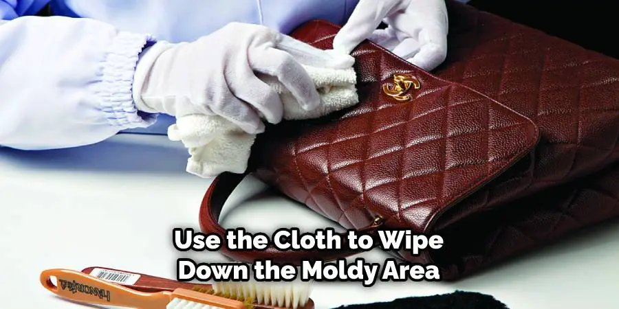 Use the cloth to wipe down the mold