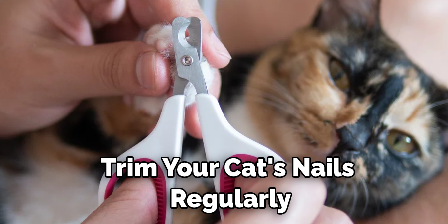 Trim Your Cat's Nails Regularly