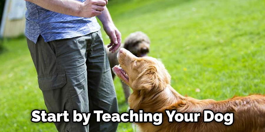 Start by Teaching Your Dog