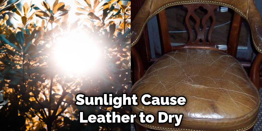 Sunlight Cause Leather to Dry