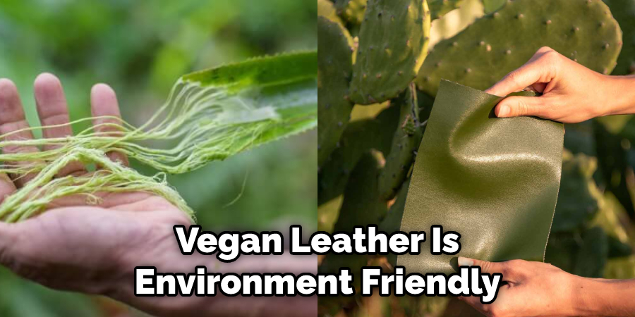 Vegan Leather Is Environment Friendly