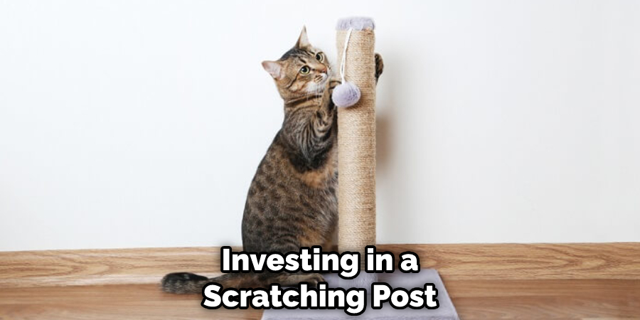 Investing in a Scratching Post