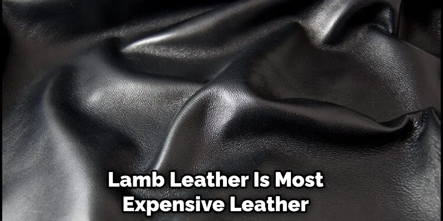 Lamb Leather Is Most Expensive Leather