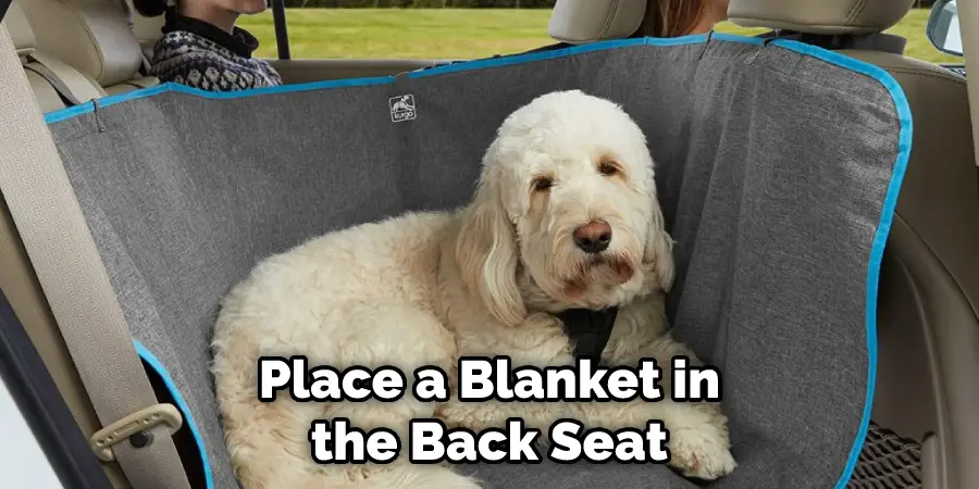 Place a Blanket in the Back Seat
