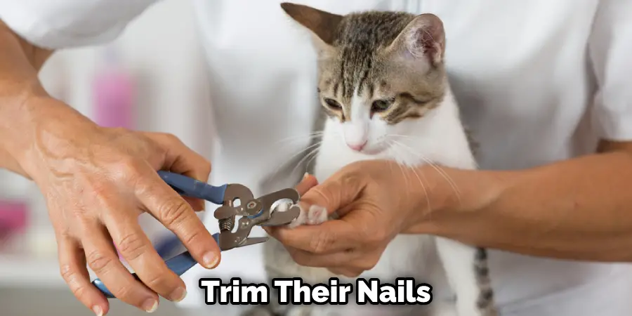 Trim Their Nails