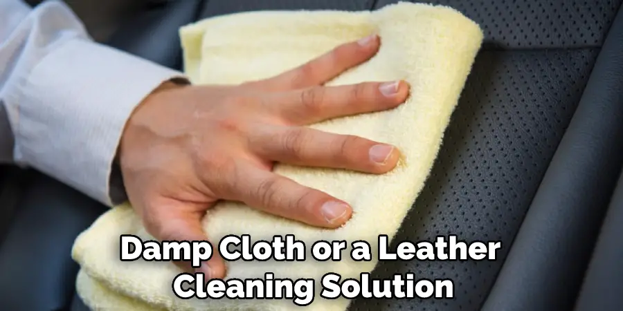 Damp Cloth or a Leather Cleaning Solution