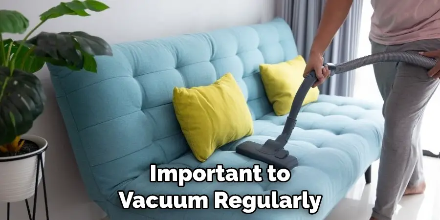 Important to Vacuum Regularly
