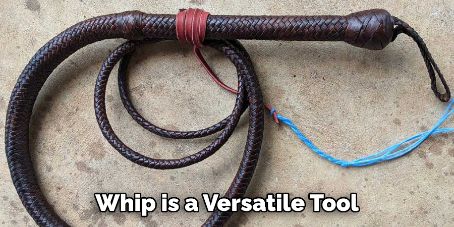 Whip is a Versatile Tool