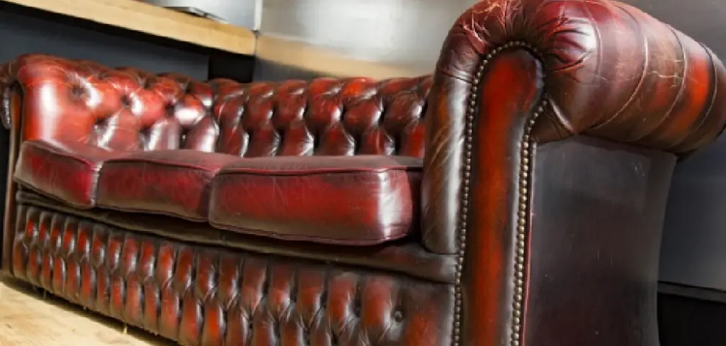 How to Protect Leather Sofa From Scratches