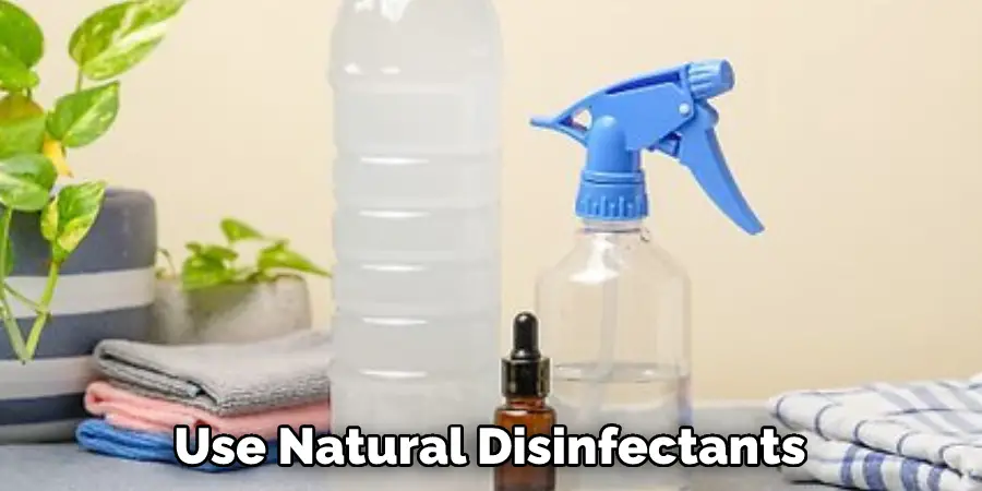 Use Natural Disinfectants