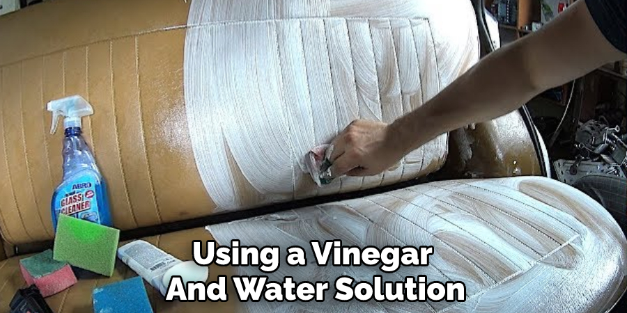 Using a Vinegar And Water Solution