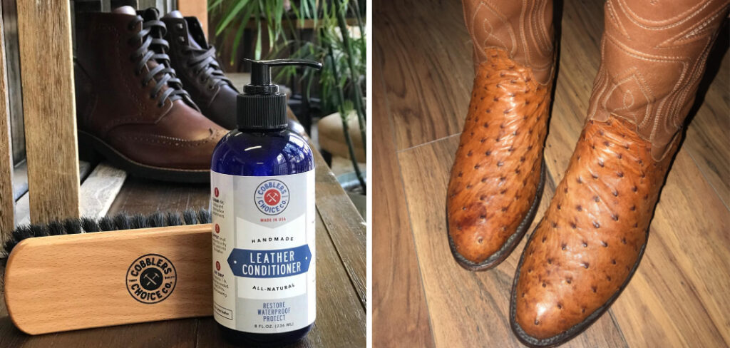 Best Conditioner for Ostrich Boots