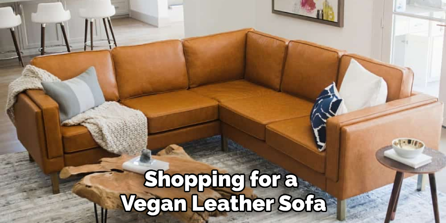 Shopping for a Vegan Leather Sofa