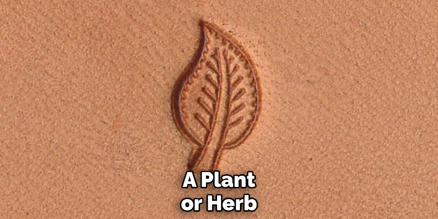 A Plant or Herb