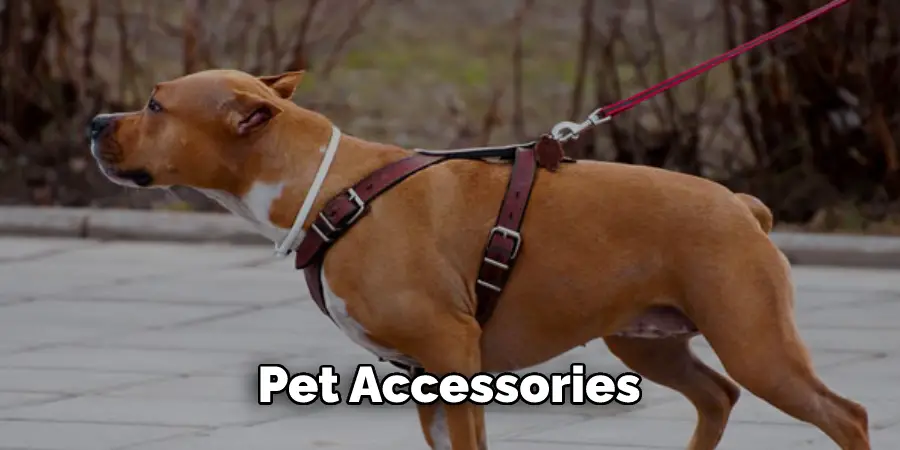 Pet Accessories