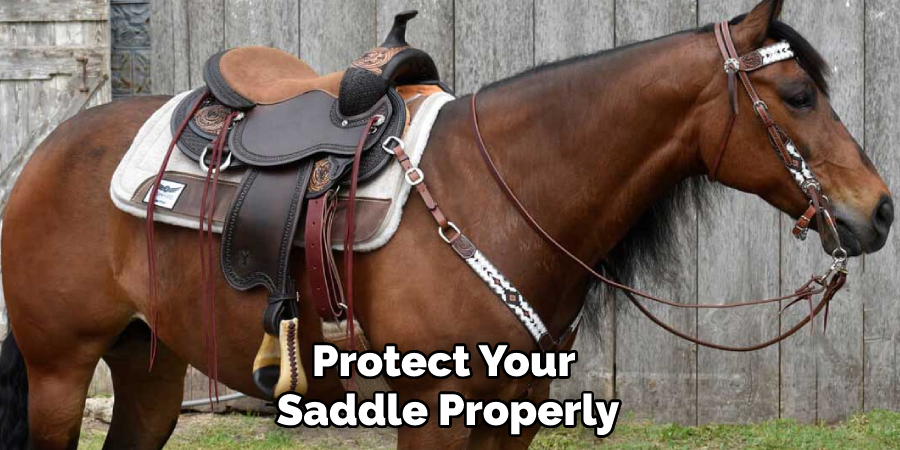 Protect Your Saddle Properly