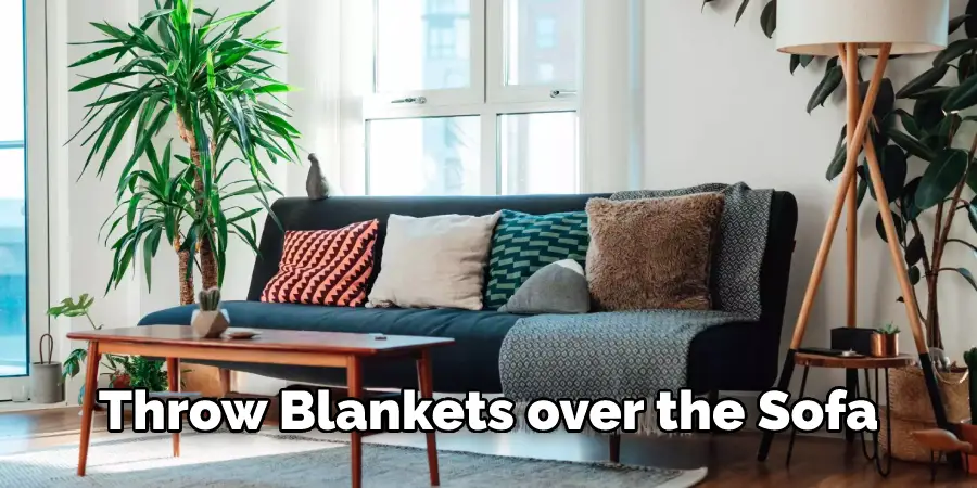 Throw Blankets over the Sofa