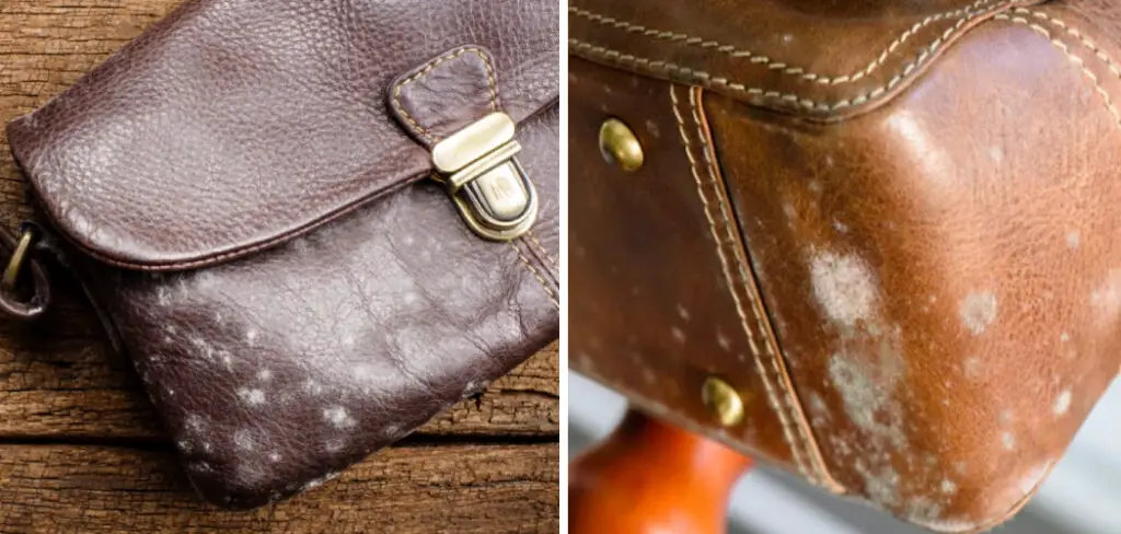 How to Store Leather Bags to Prevent Mould