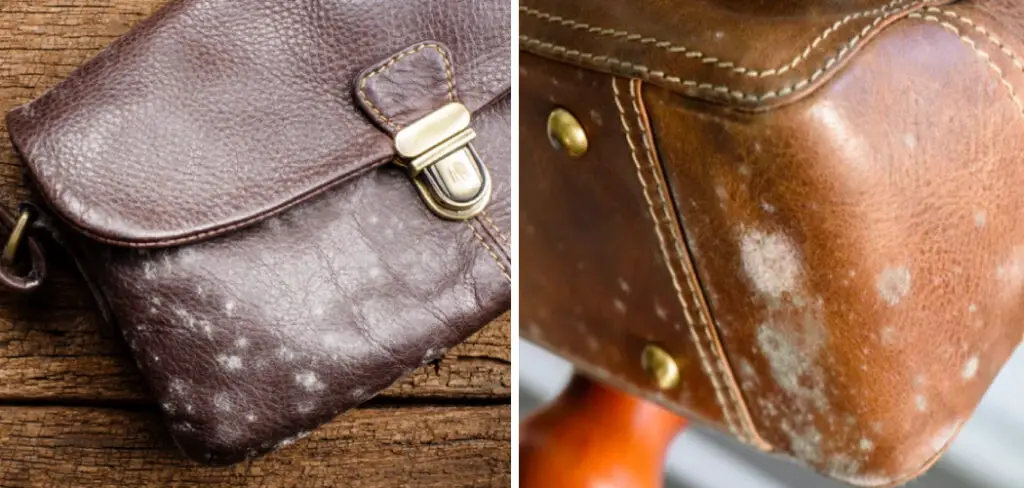 how-to-store-leather-bags-to-prevent-mould-6-easy-instructions