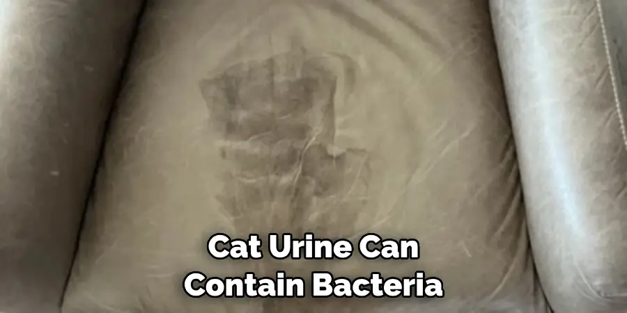 Cat Urine Can Contain Bacteria