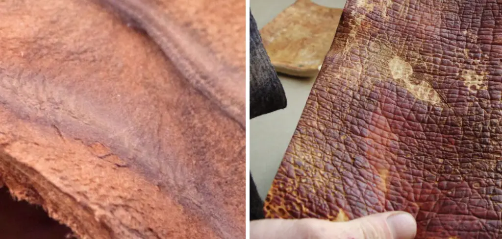 How to Make Mushroom Leather