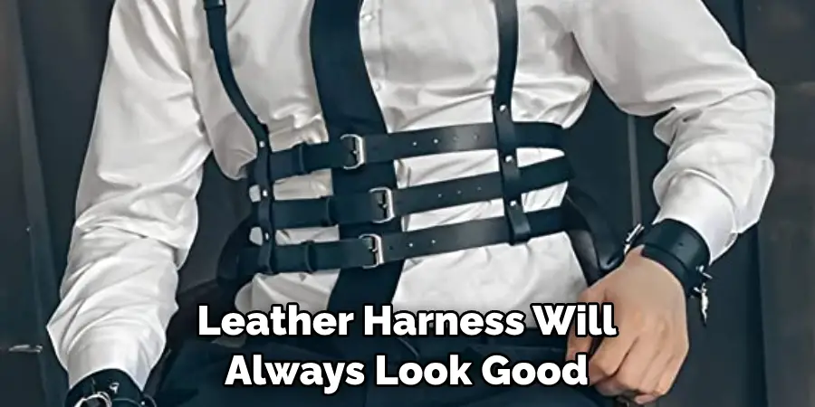 Leather Harness Will Always Look Good