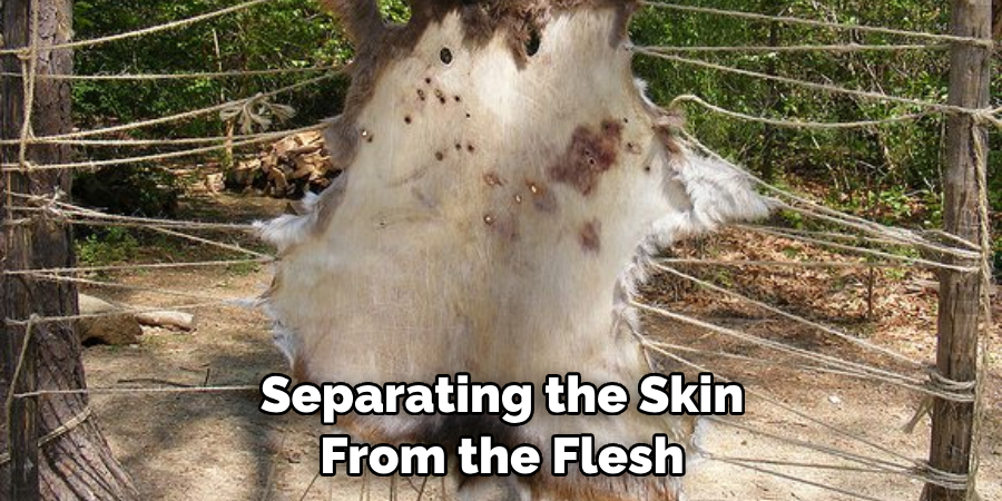 Separating the Skin From the Flesh