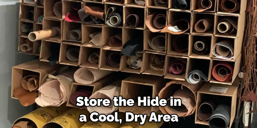 Store the Hide in a Cool, Dry Area 