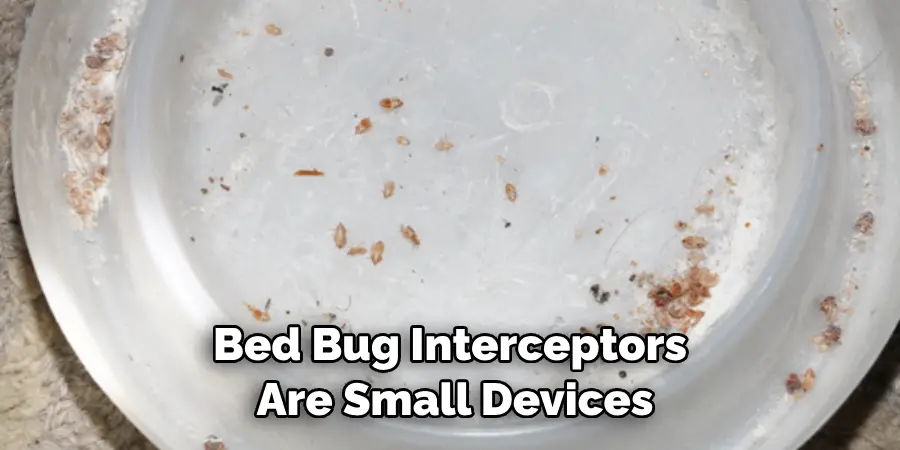 Bed Bug Interceptors Are Small Devices
