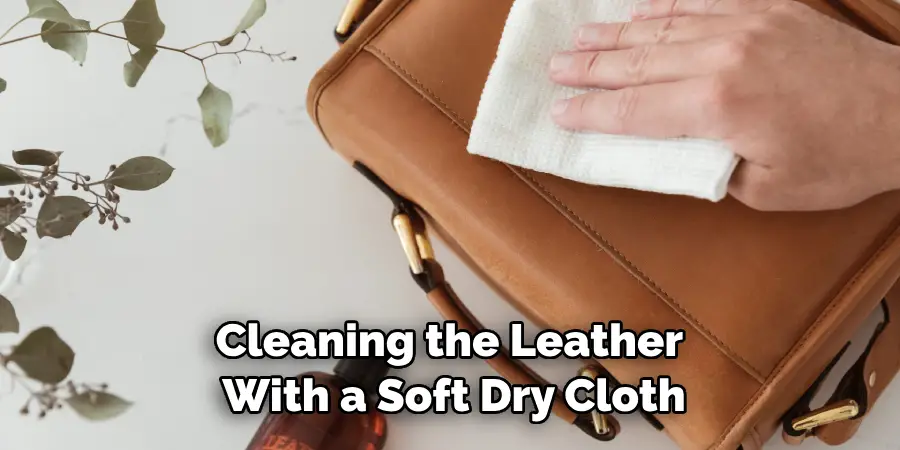 Cleaning the Leather With a Soft Dry Cloth