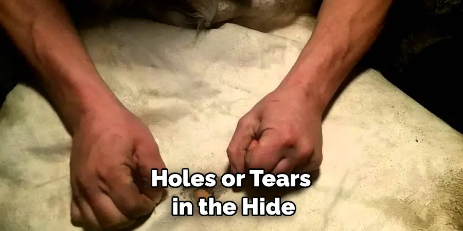 Holes or Tears in the Hide