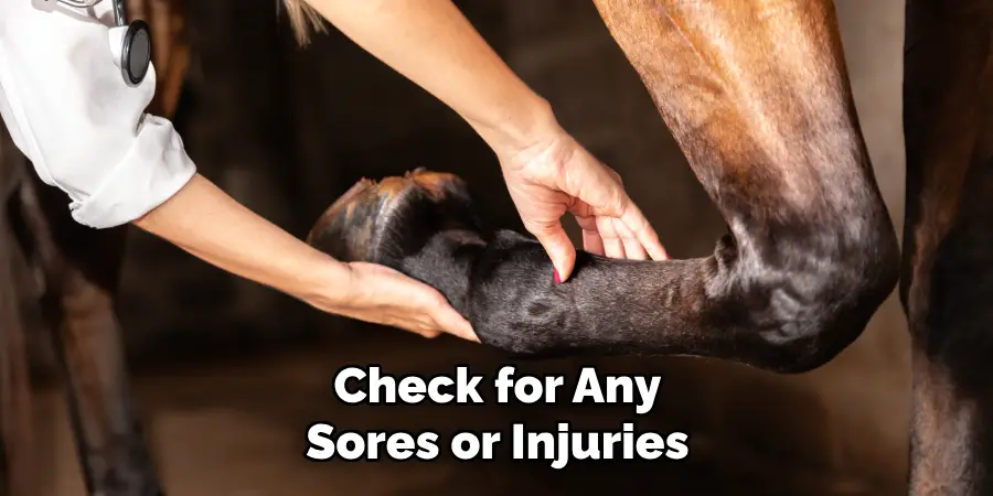 Check for Any Sores or Injuries