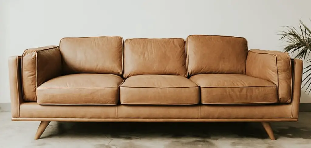 How to Protect Leather Couch From Scratches