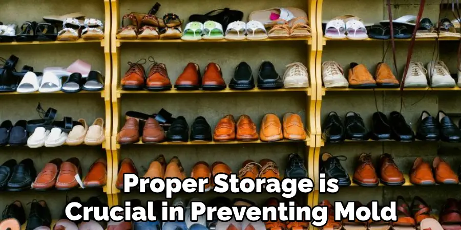 Proper Storage is Crucial in Preventing Mold