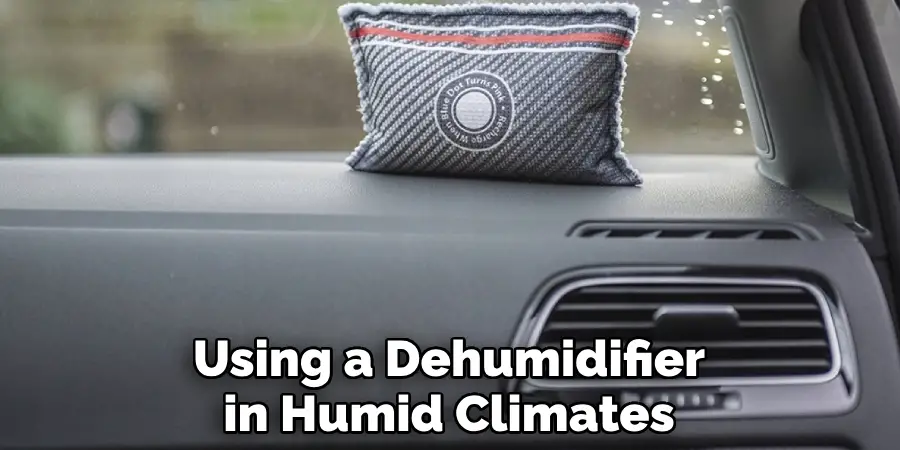 Using a Dehumidifier in Humid Climates
