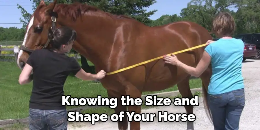 Knowing the Size and Shape of Your Horse