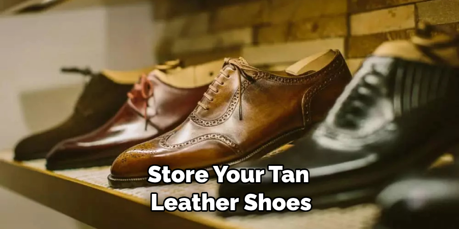 Store Your Tan Leather Shoes