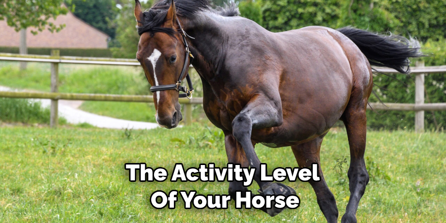 The Activity Level of Your Horse