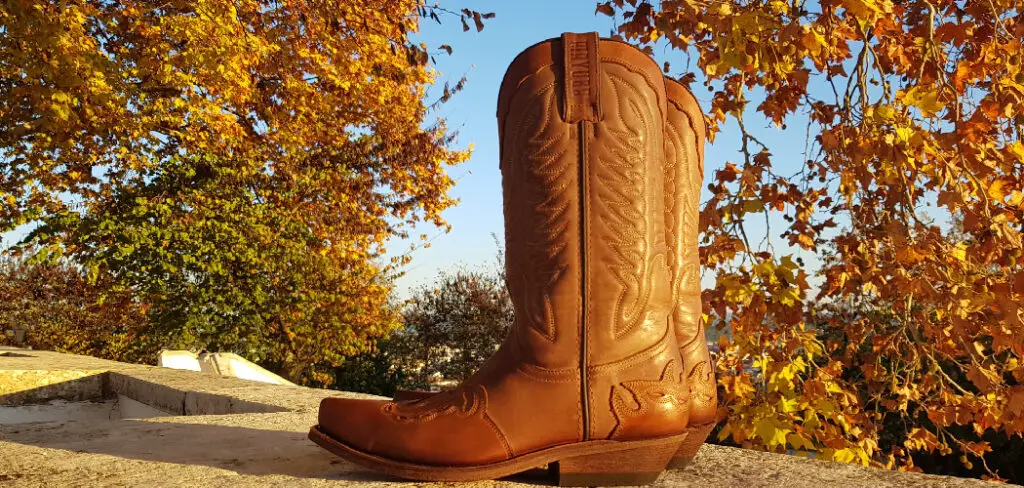 How to Shine Cowboy Boots at Home