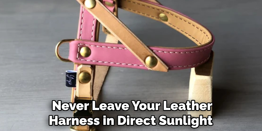 Never Leave Your Leather Harness in Direct Sunlight 