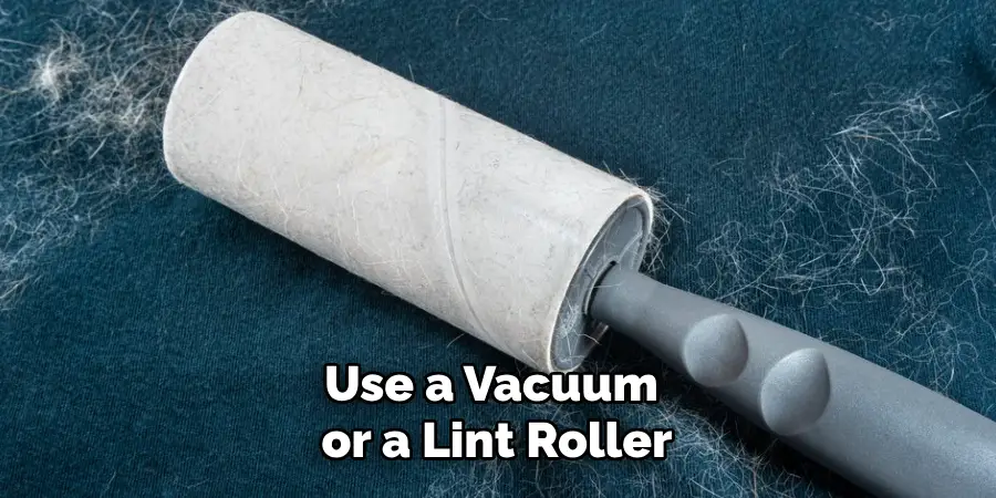 Use a Vacuum or a Lint Roller