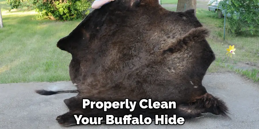 Properly Clean Your Buffalo Hide