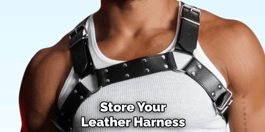 Store Your Leather Harness