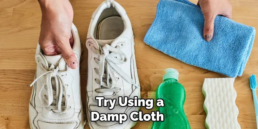  Try Using a Damp Cloth 