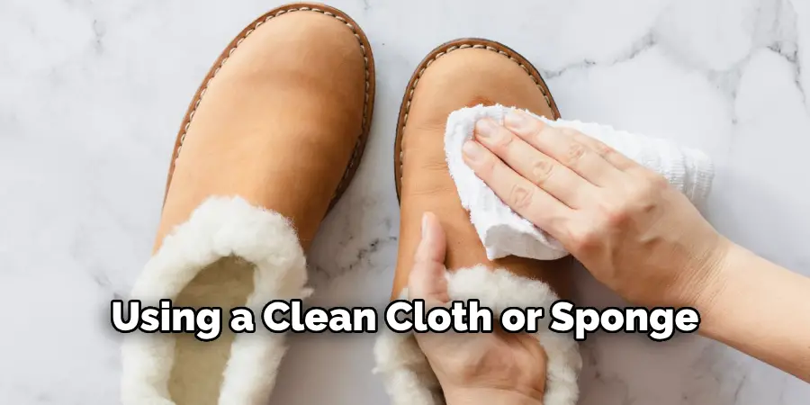 Using a Clean Cloth or Sponge