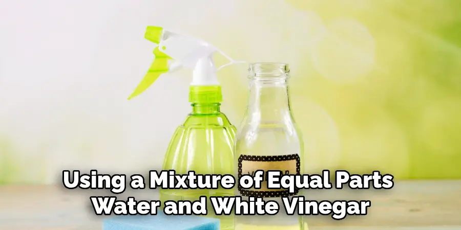 Using a Mixture of Equal Parts Water and White Vinegar